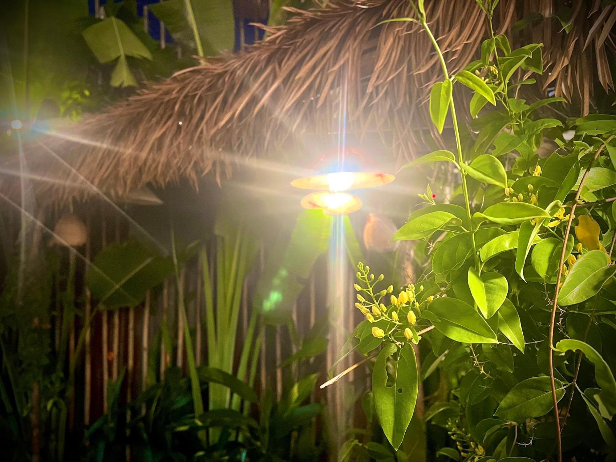 Ben Do Xua Homestay & Coffee Cai Rang Extérieur photo
