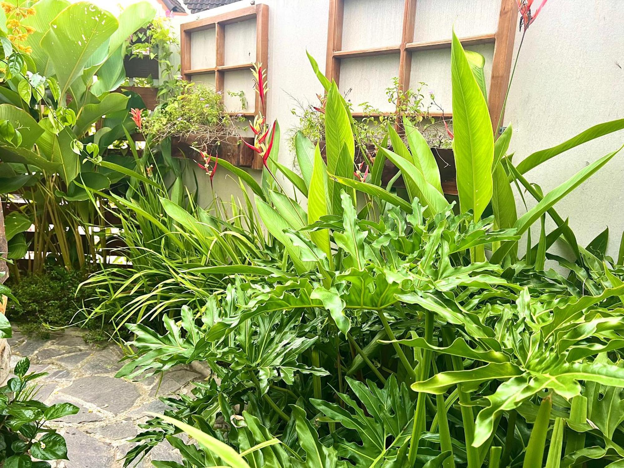 Ben Do Xua Homestay & Coffee Cai Rang Extérieur photo